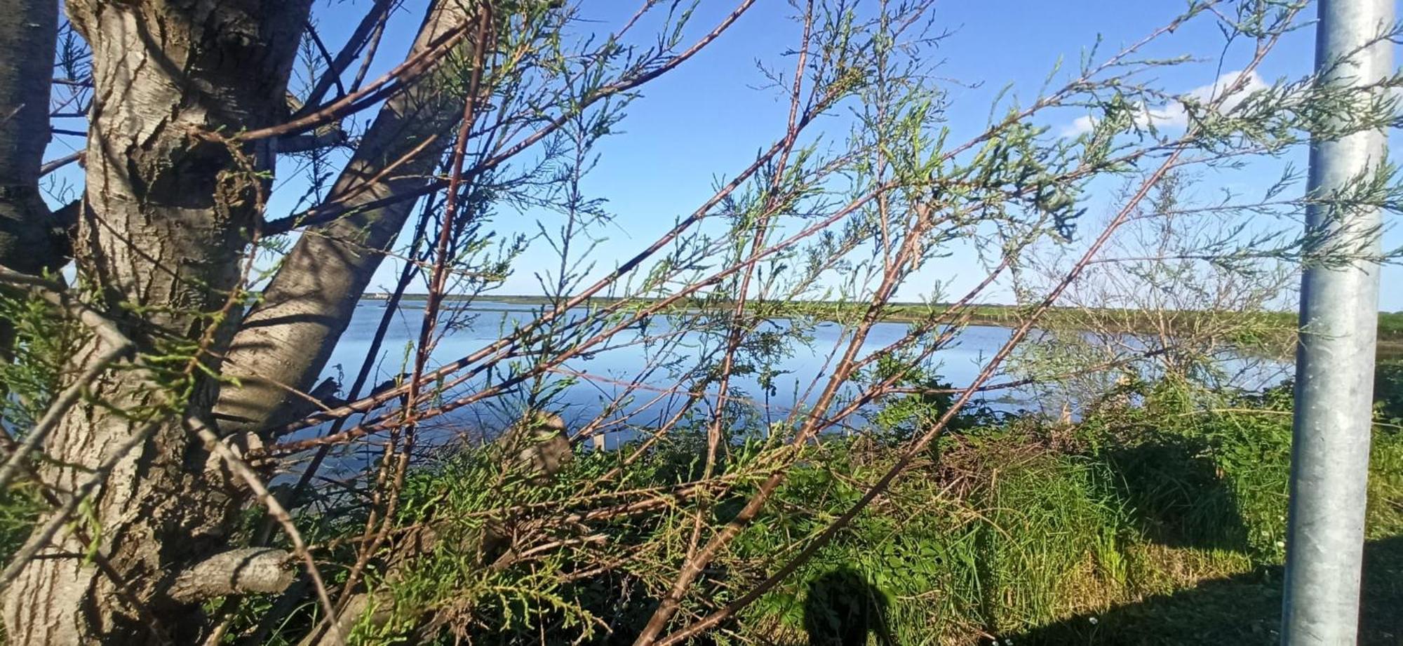 Casa Vacanze Nel Delta Del Po Taglio di Po Exterior foto