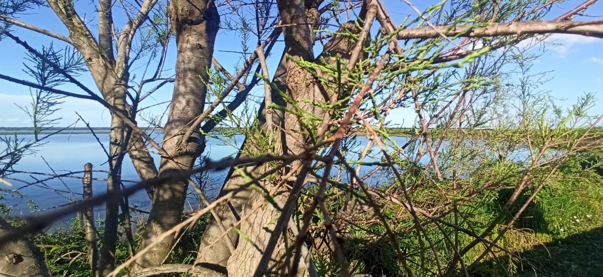 Casa Vacanze Nel Delta Del Po Taglio di Po Exterior foto