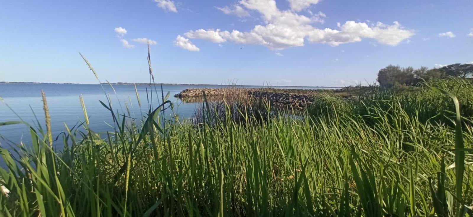 Casa Vacanze Nel Delta Del Po Taglio di Po Exterior foto