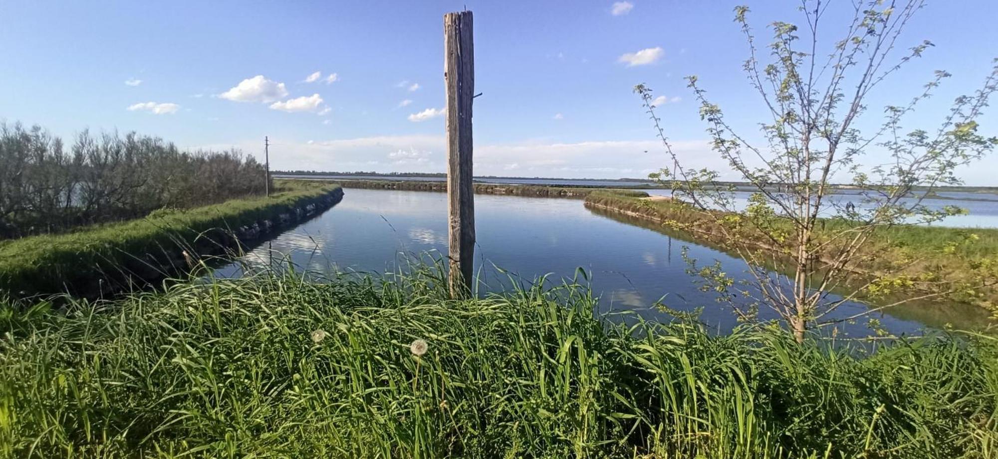 Casa Vacanze Nel Delta Del Po Taglio di Po Exterior foto